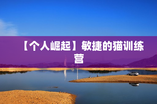 【个人崛起】敏捷的猫训练营