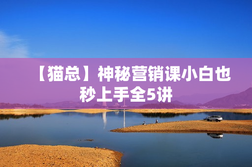 【猫总】神秘营销课小白也秒上手全5讲