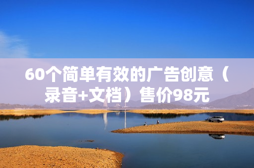 60个简单有效的广告创意（录音+文档）售价98元