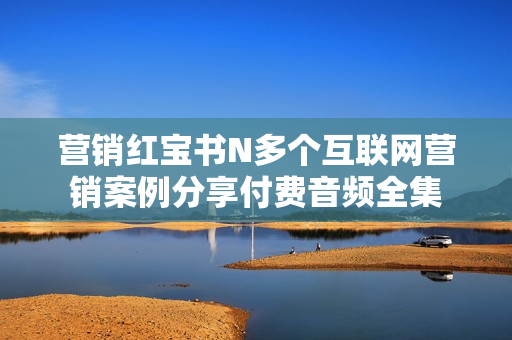 营销红宝书N多个互联网营销案例分享付费音频全集