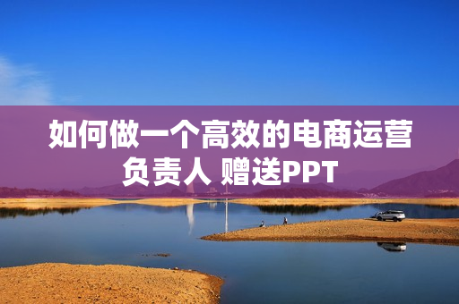 如何做一个高效的电商运营负责人 赠送PPT