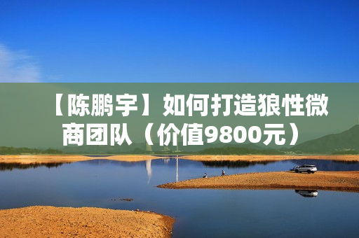 【陈鹏宇】如何打造狼性微商团队（价值9800元）