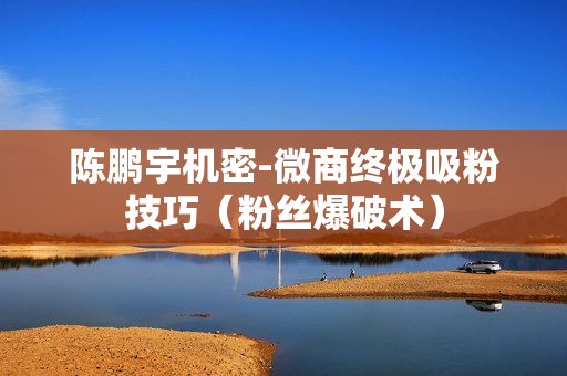 陈鹏宇机密-微商终极吸粉技巧（粉丝爆破术）