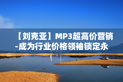 【刘克亚】MP3超高价营销-成为行业价格领袖锁定永久利润的秘诀