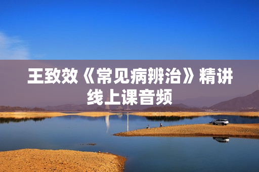 王致效《常见病辨治》精讲线上课音频