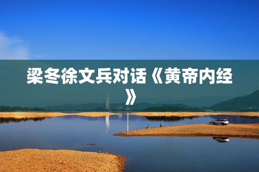 梁冬徐文兵对话《黄帝内经》