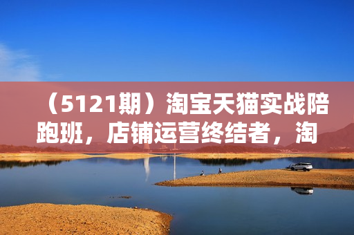 （5121期）淘宝天猫实战陪跑班，店铺运营终结者，淘宝运营必修课