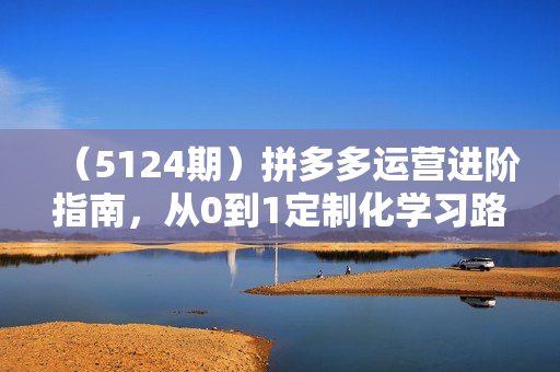 （5124期）拼多多运营进阶指南，从0到1定制化学习路线