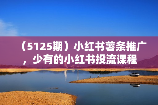 （5125期）小红书薯条推广，少有的小红书投流课程