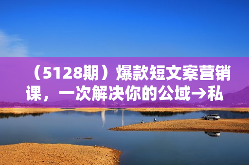 （5128期）爆款短文案营销课，一次解决你的公域→私域涨粉、成交难题