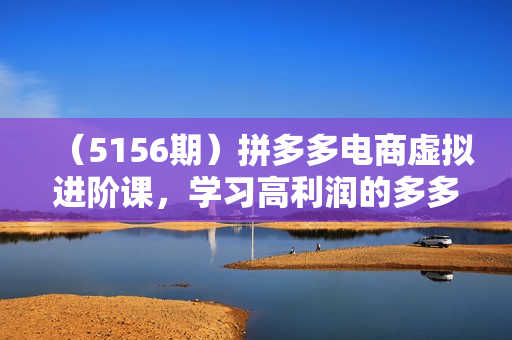 （5156期）拼多多电商虚拟进阶课，学习高利润的多多虚拟玩法，利用电商思维进行选品+运营更新）