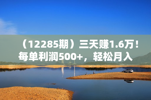 （12285期）三天赚1.6万！每单利润500+，轻松月入7万+小白有手就行