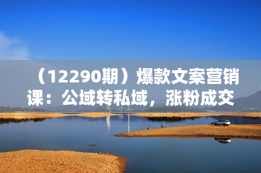 （12290期）爆款文案营销课：公域转私域，涨粉成交一网打尽，各行业人士必备
