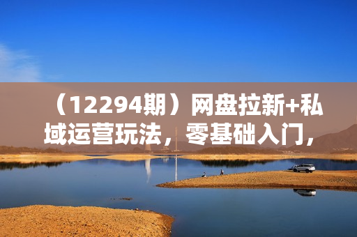 （12294期）网盘拉新+私域运营玩法，零基础入门，小白可操作，当天见效，日入5000+