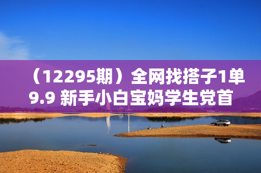 （12295期）全网找搭子1单9.9 新手小白宝妈学生党首选 简单操作 日入1000+