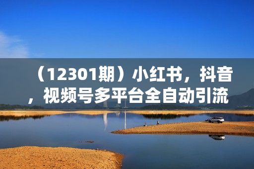 （12301期）小红书，抖音，视频号多平台全自动引流获客系统 精准截流自热引流精准