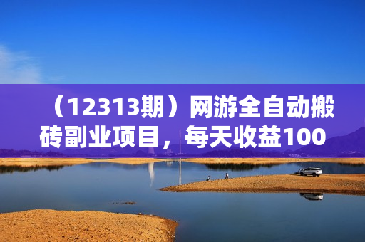 （12313期）网游全自动搬砖副业项目，每天收益1000+，长期稳定