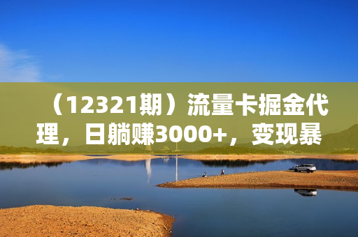 （12321期）流量卡掘金代理，日躺赚3000+，变现暴力，多种推广途径