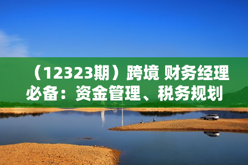 （12323期）跨境 财务经理必备：资金管理、税务规划、财报汇报与IPO实战