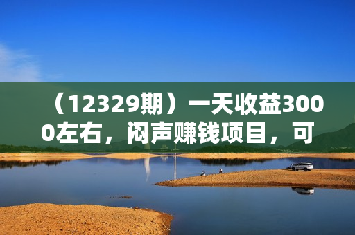 （12329期）一天收益3000左右，闷声赚钱项目，可批量扩大