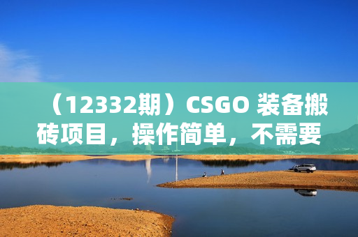 （12332期）CSGO 装备搬砖项目，操作简单，不需要会玩游戏，小白也能快速上手，一
