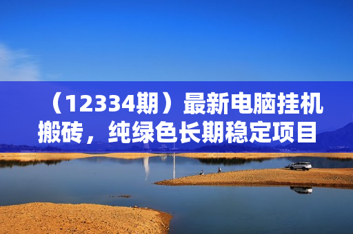 （12334期）最新电脑挂机搬砖，纯绿色长期稳定项目，带管道收益轻松日入1000+