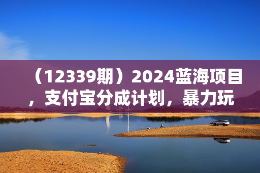 （12339期）2024蓝海项目，支付宝分成计划，暴力玩法，刷爆播放量，小白月入20000+