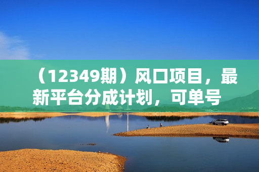 （12349期）风口项目，最新平台分成计划，可单号 可矩阵单号轻松月入10000+