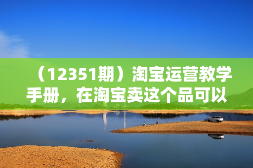 （12351期）淘宝运营教学手册，在淘宝卖这个品可以让你做到日入2000+，新手小白轻