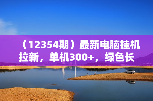（12354期）最新电脑挂机拉新，单机300+，绿色长期稳定，适合各个人群