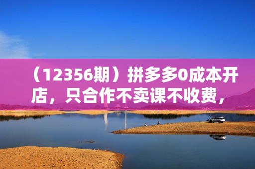 （12356期）拼多多0成本开店，只合作不卖课不收费，0成本尝试，日赚千元+