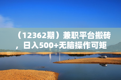 （12362期）兼职平台搬砖，日入500+无脑操作可矩阵