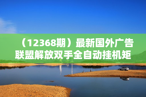 （12368期）最新国外广告联盟解放双手全自动挂机矩阵每天500+附有管道收益
