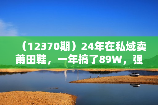 （12370期）24年在私域卖莆田鞋，一年搞了89W，强烈推荐！