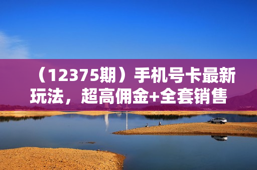 （12375期）手机号卡最新玩法，超高佣金+全套销售方法，轻松月赚5W+
