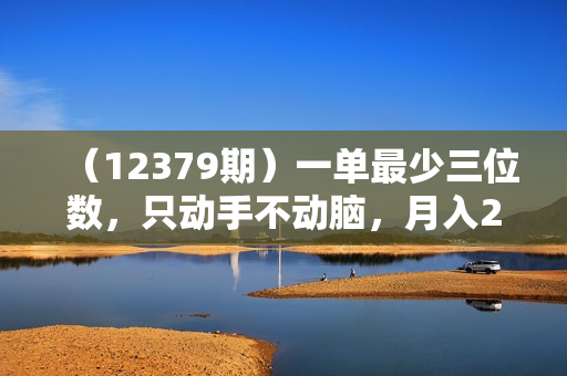 （12379期）一单最少三位数，只动手不动脑，月入2万，看完就能上手，详细教程