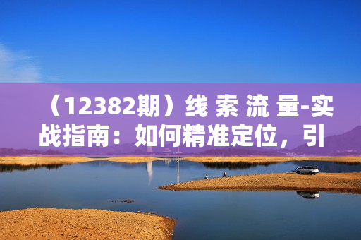 （12382期）线 索 流 量-实战指南：如何精准定位，引爆新号流量，导入私域