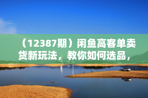 （12387期）闲鱼高客单卖货新玩法，教你如何选品，如何通过一个品收入1万+