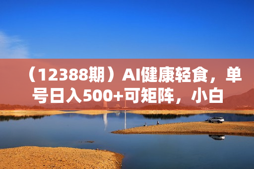 （12388期）AI健康轻食，单号日入500+可矩阵，小白轻松引流赚钱（教程+食谱）