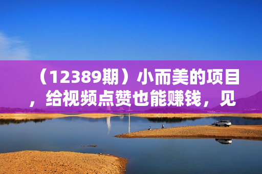 （12389期）小而美的项目，给视频点赞也能赚钱，见钱快，日入500+