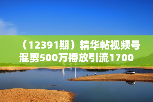 （12391期）精华帖视频号混剪500万播放引流17000创业粉，单日直接过万变现，最新方
