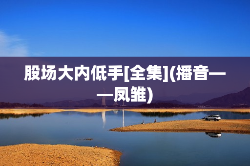 股场大内低手[全集](播音——凤雏)