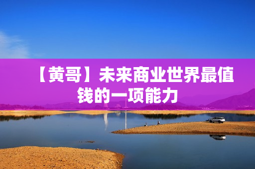 【黄哥】未来商业世界最值钱的一项能力