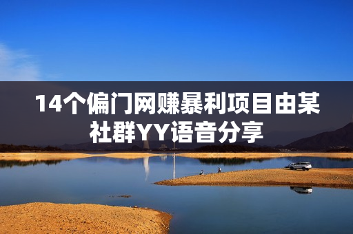 14个偏门网赚暴利项目由某社群YY语音分享