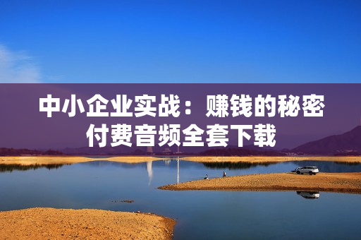 中小企业实战：赚钱的秘密付费音频全套下载