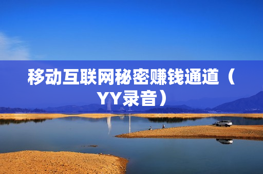 移动互联网秘密赚钱通道（YY录音）