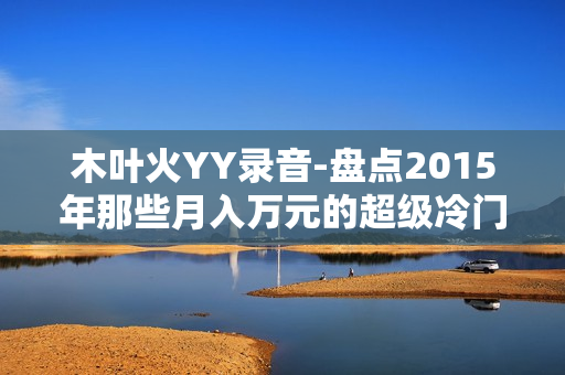木叶火YY录音-盘点2015年那些月入万元的超级冷门项目-复制成功等于你的成功