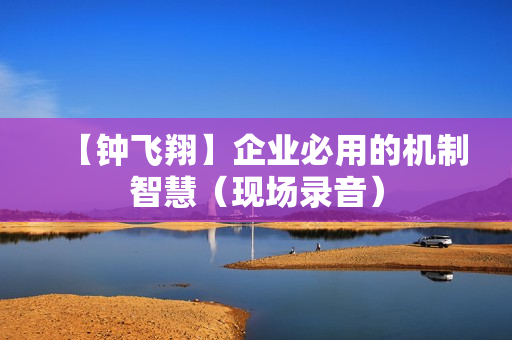 【钟飞翔】企业必用的机制智慧（现场录音）
