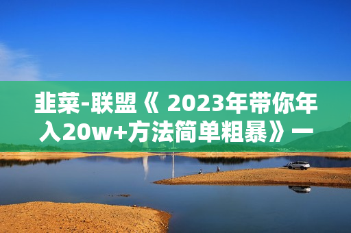 韭菜-联盟《 2023年带你年入20w+方法简单粗暴》一个教你割韭菜的课程