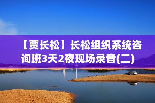【贾长松】长松组织系统咨询班3天2夜现场录音(二)